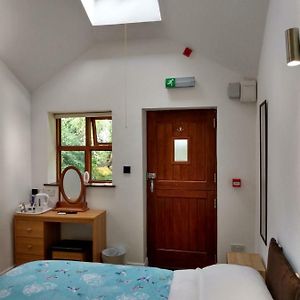 Habitación con Cama King